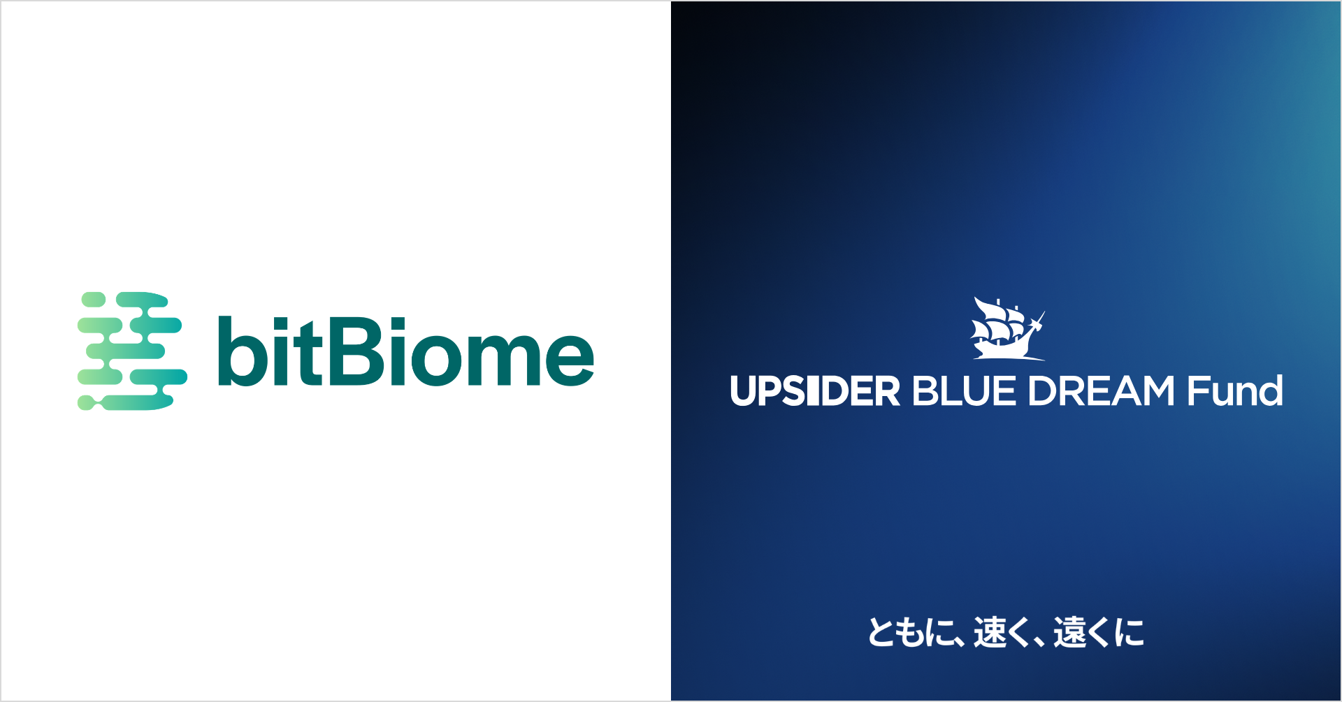 UPSIDER BLUE DREAM Fund、bitBiome株式会社に5億円の融資を実行